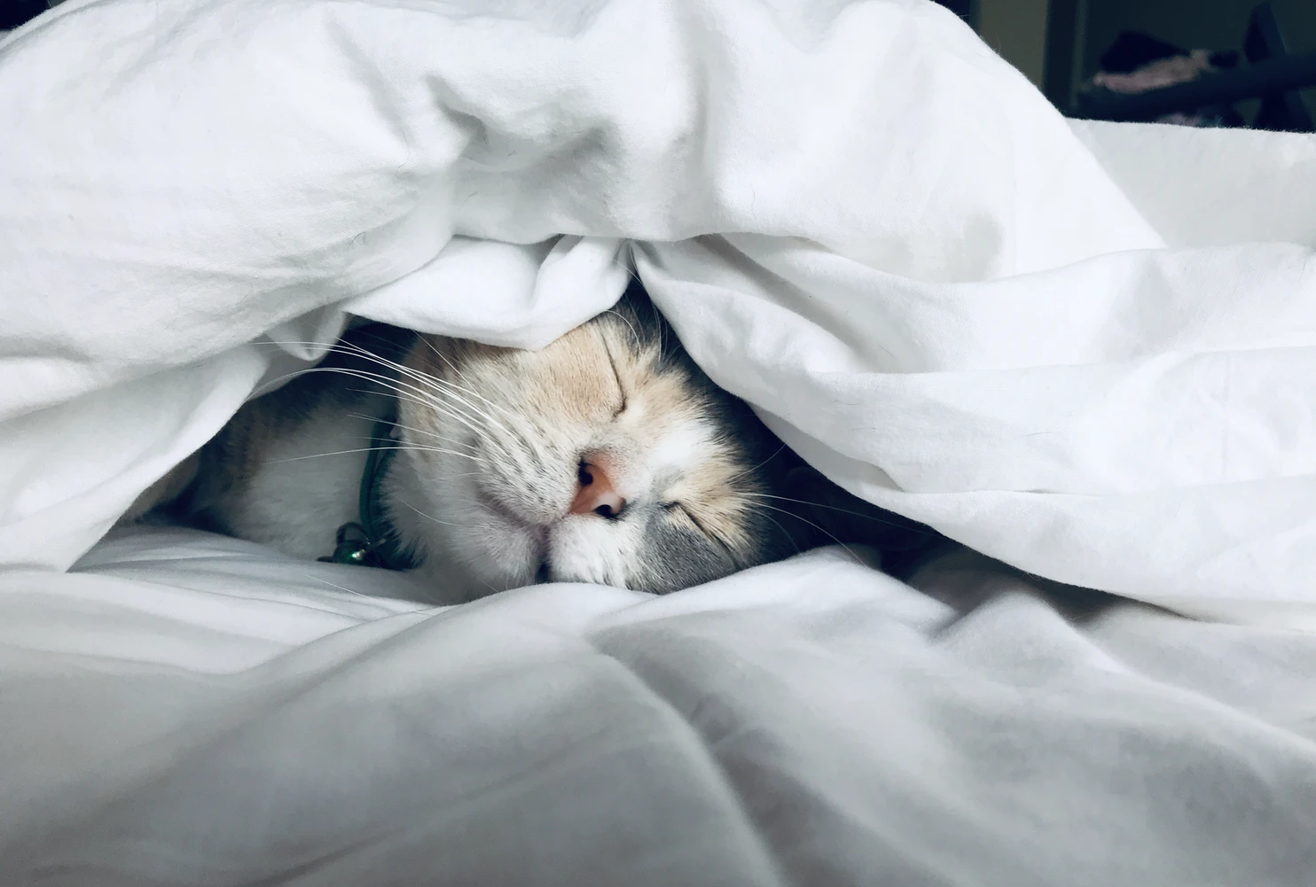 What is a duvet day and how to enjoy it